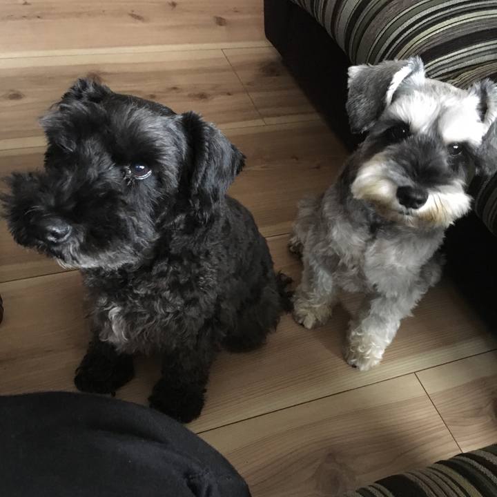 Cf111385 0d66 4286 87a7 bf5dd7be5276