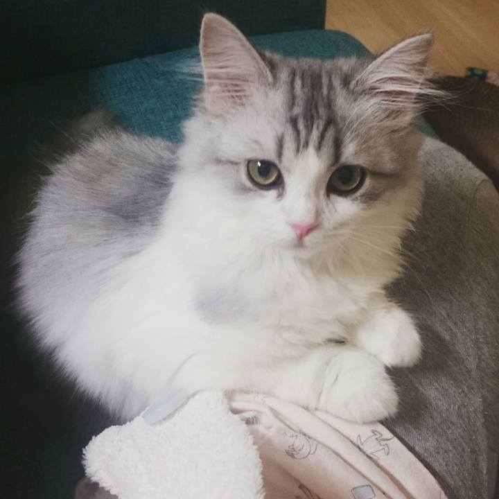 Cf130111 faf4 479a 8f0f e0bdb68f809f