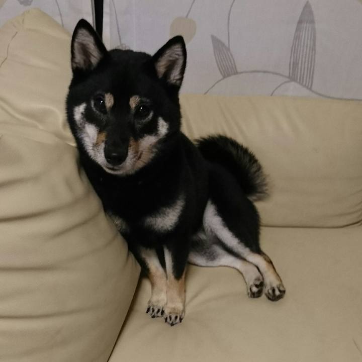 Cf136540 aca5 4dfb 84a1 b9ef3134c65e