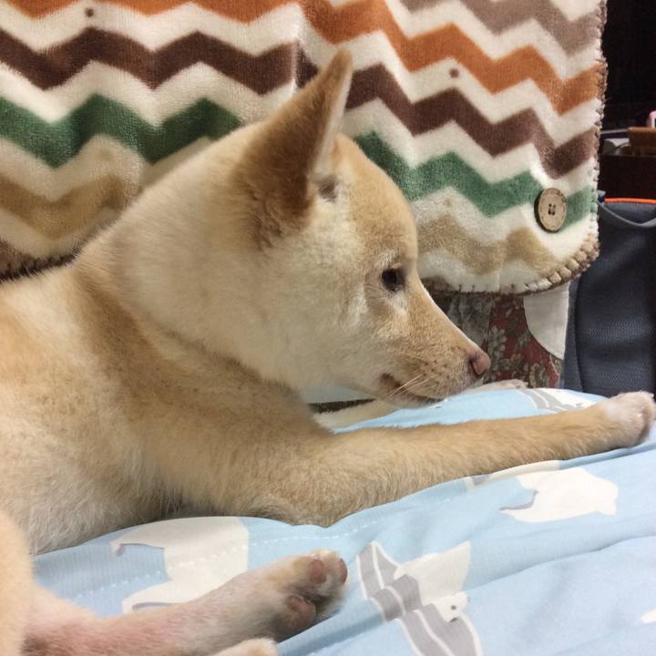 Cf1383d6 7306 4179 a93e 75fe79f0624c