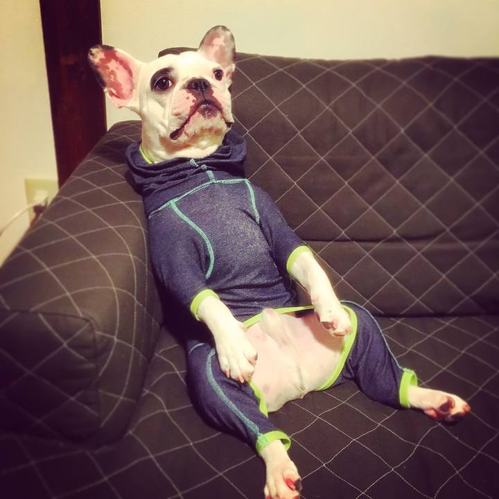 Cf13c305 544b 43be b6dc 8736571ab97a