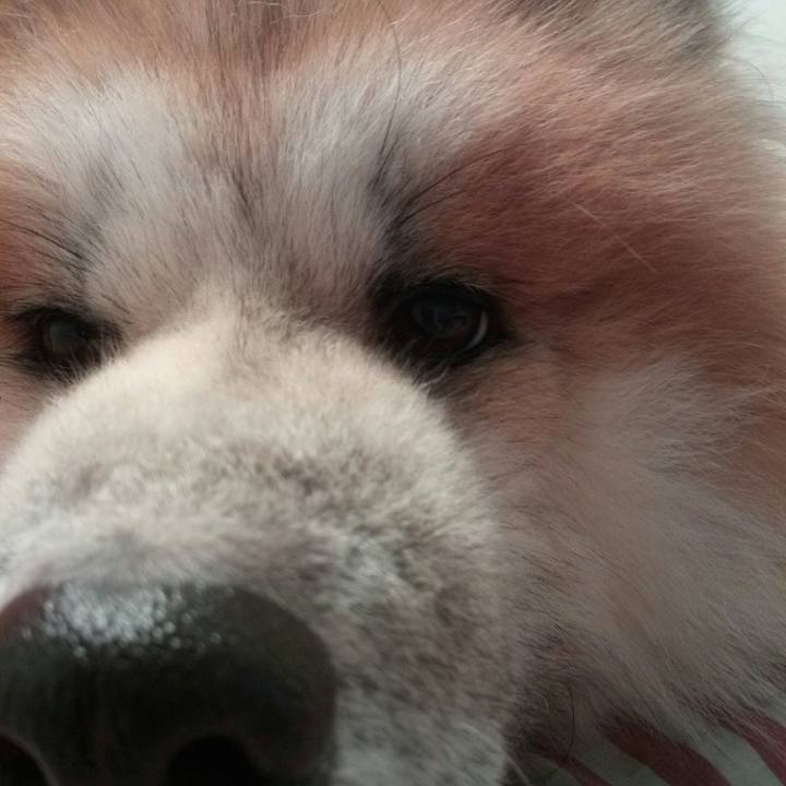 Cf13c64c cfe4 4fda b6d1 5510ab50736f