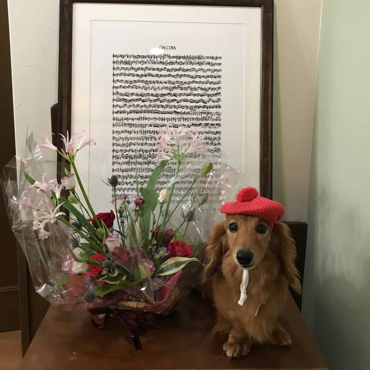 Cf146841 270a 4428 951a 94280c47e0dd