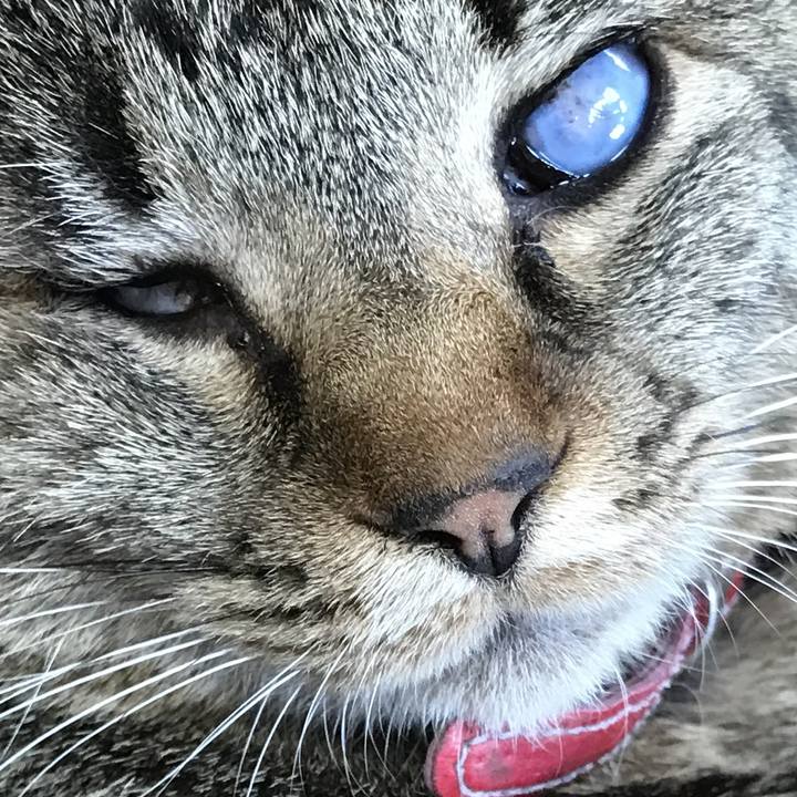 Cf14dd9a a9bd 40b8 99f0 9f562c36f9fe