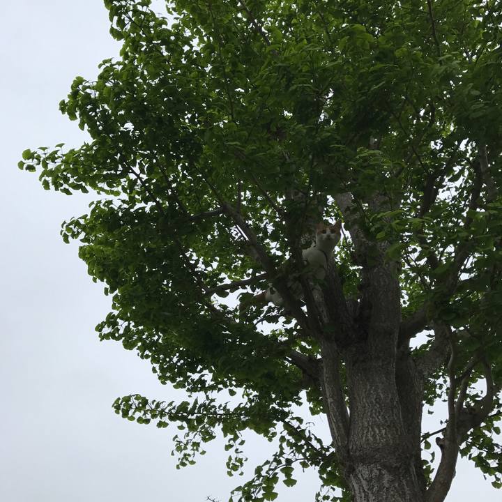 Cf14fab5 ea6a 4a9f a973 f68378a23398