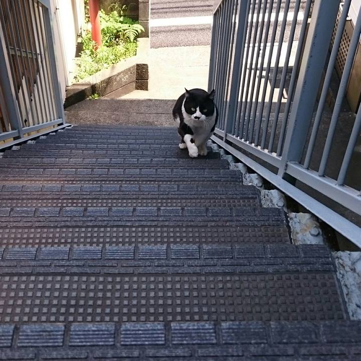 Cf14fb31 70b4 412a a79a 23f1fc52d4af