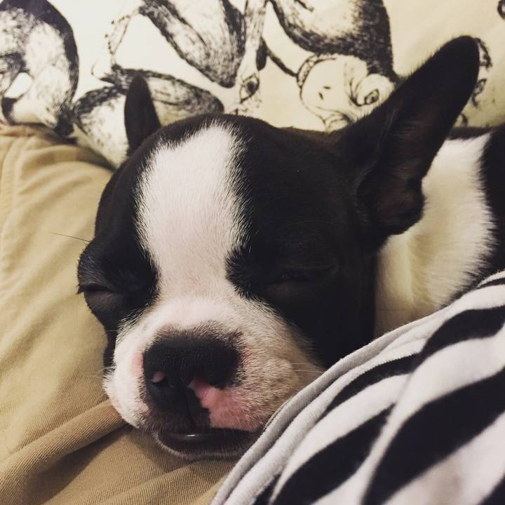 Cf1525d1 bccc 4f94 9598 6e88995ff2cf