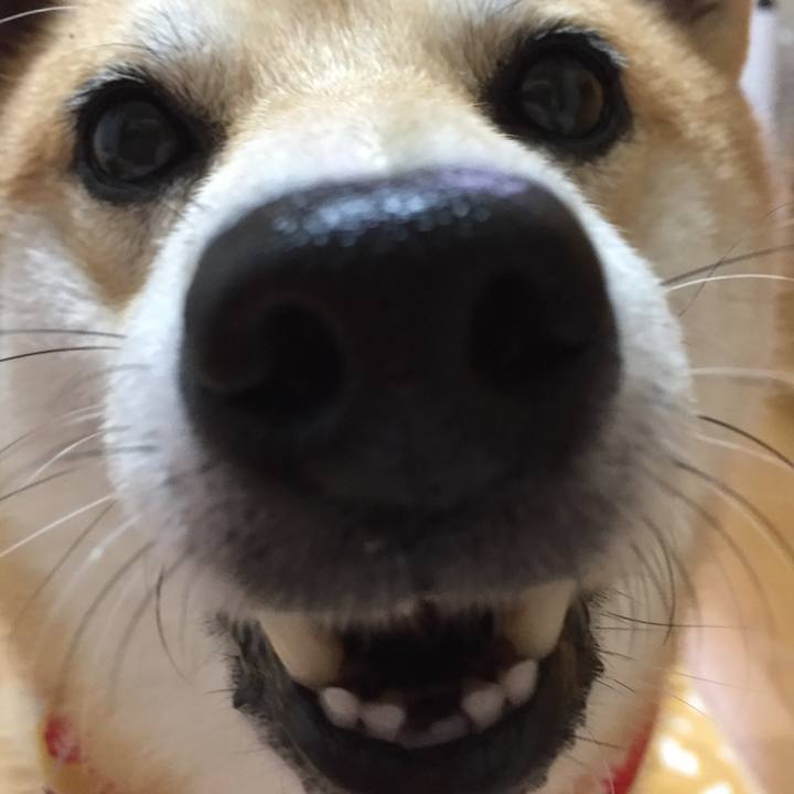 Cf157bb9 cc56 499b 861d b1a75aed9860