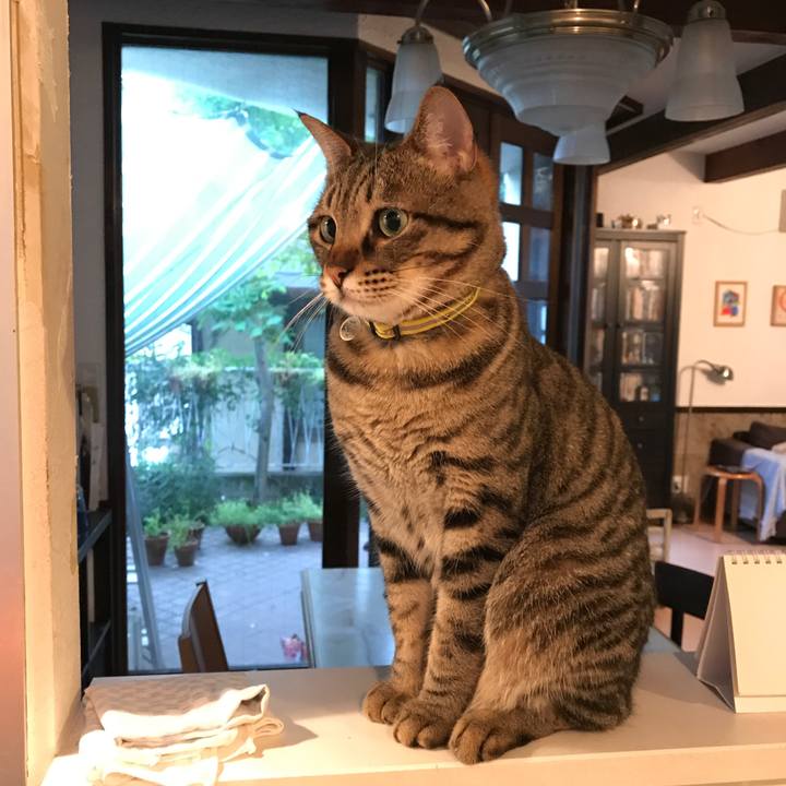 Cf15c76e ea39 41bc b1fc 465378579123