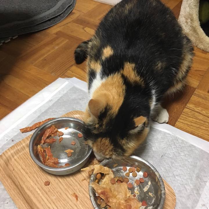 Cf163842 62c7 4dbd 89ae c50e9161a187