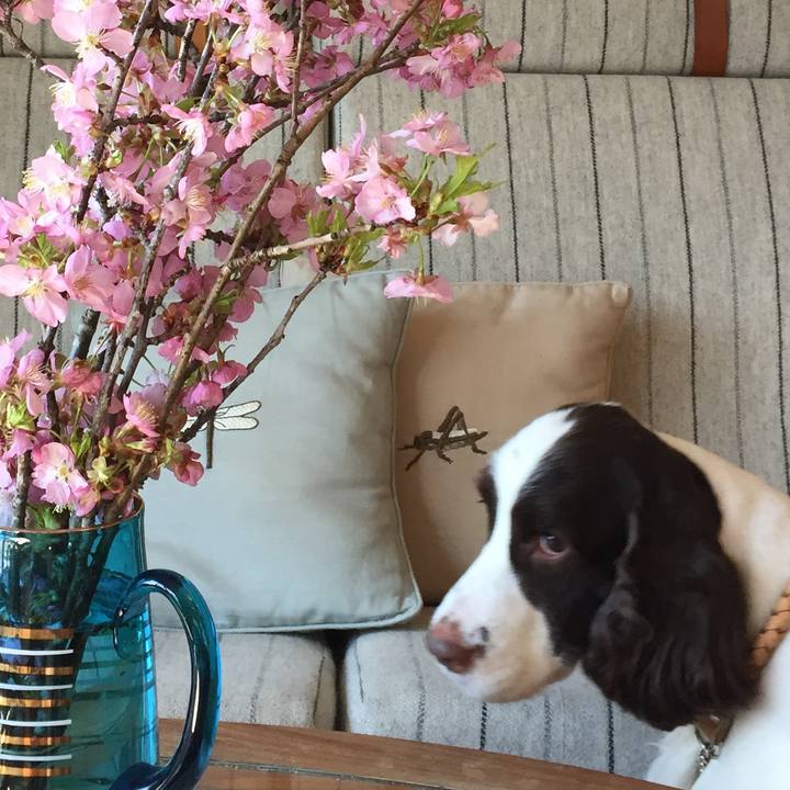 Cf16c39d 9ded 46b2 be9a 7dc5fbe3ad9c