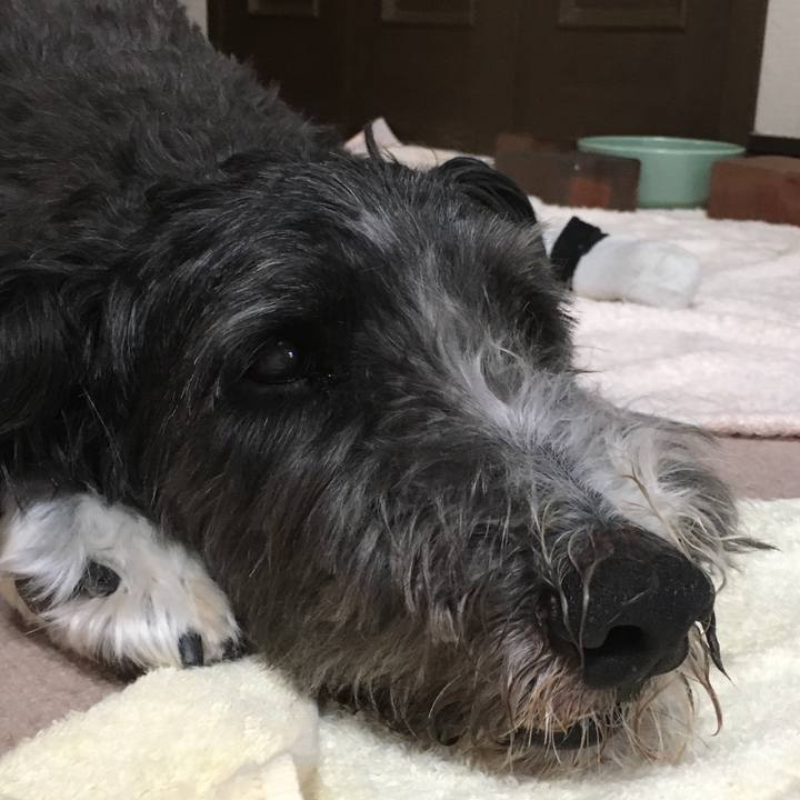 Cf16cc6c f971 42b4 b720 22c61e5e9a40