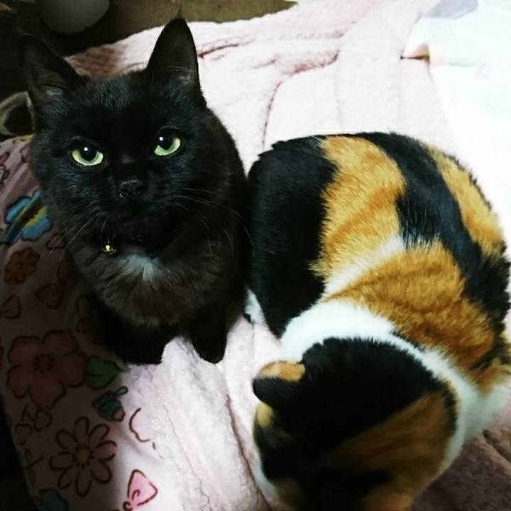 Cf16ec02 2740 4c7f b13e 4968e2fd3f56