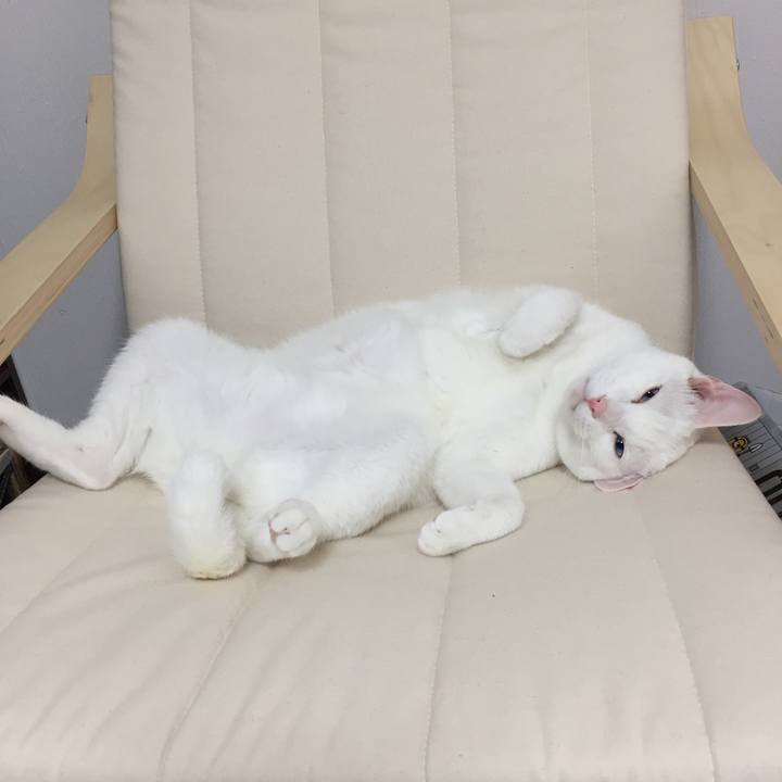 Cf17000e 262d 43f5 b54a e3835f045676