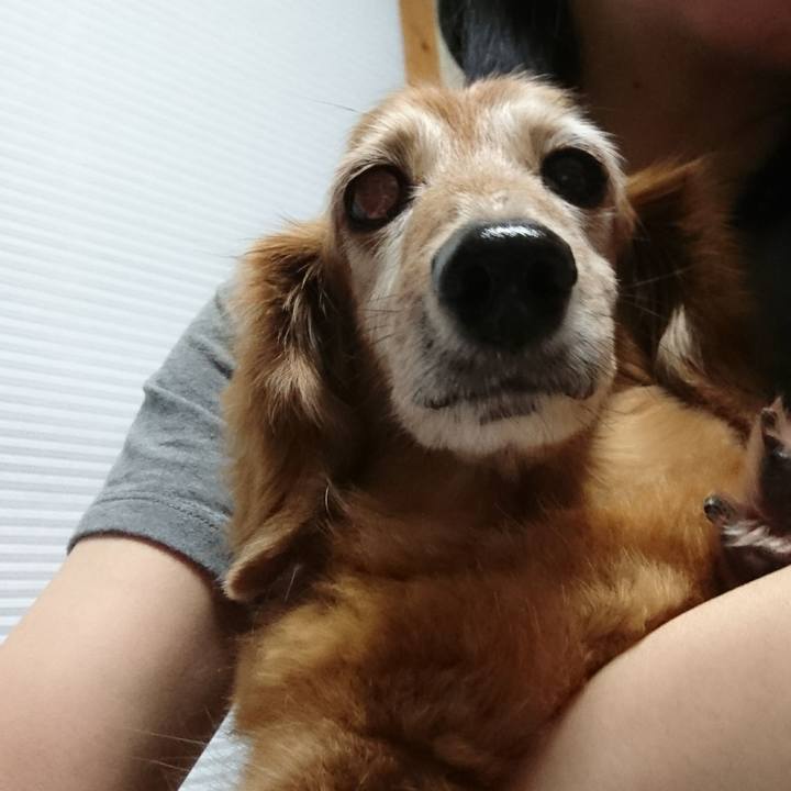 Cf178a67 d5ef 4afd b0d6 c25365638ce6