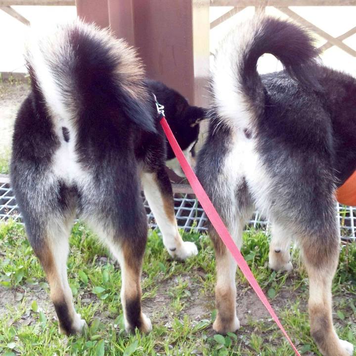 Cf185789 37ee 406a 8008 c9dcbf68e392