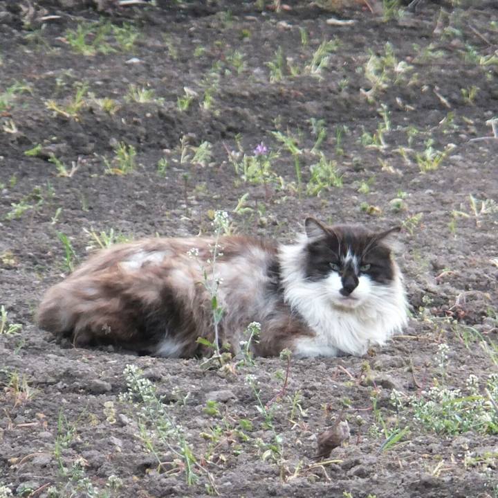 Cf18b693 e968 4c9c 9fe4 fd63c2b28db7