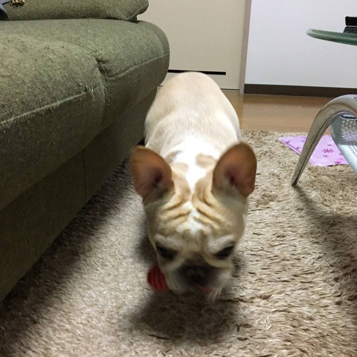 Cf18e8a0 831c 45da a409 3b42c5d8fb40