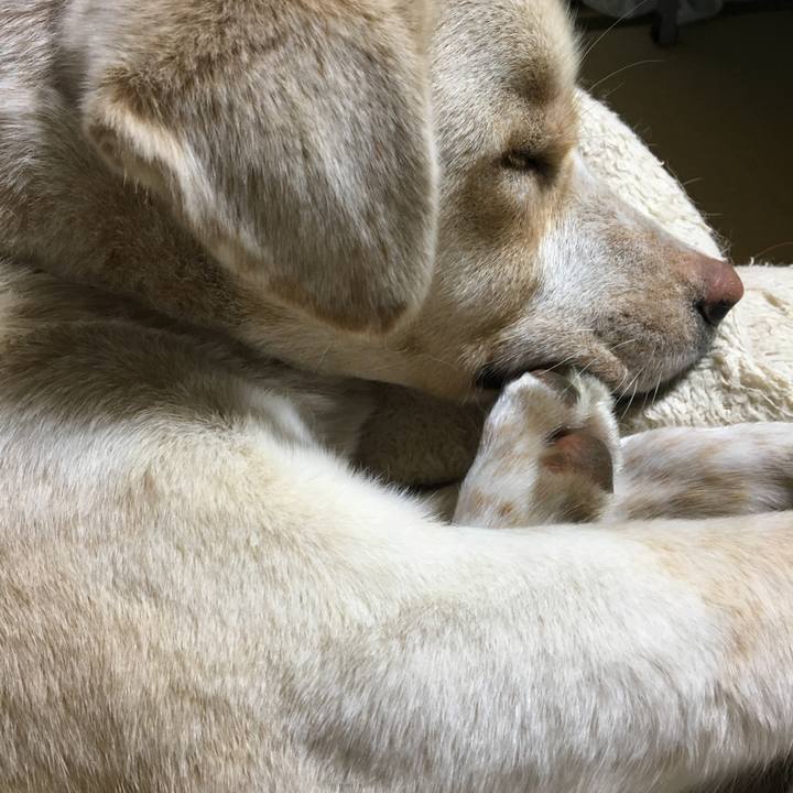 Cf191250 c838 4364 882a feb1a44c3ff0