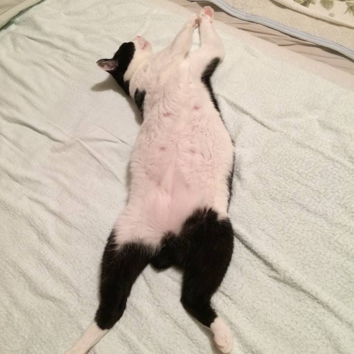 Cf19f875 adbe 4b5d a9de 09b5054d203a