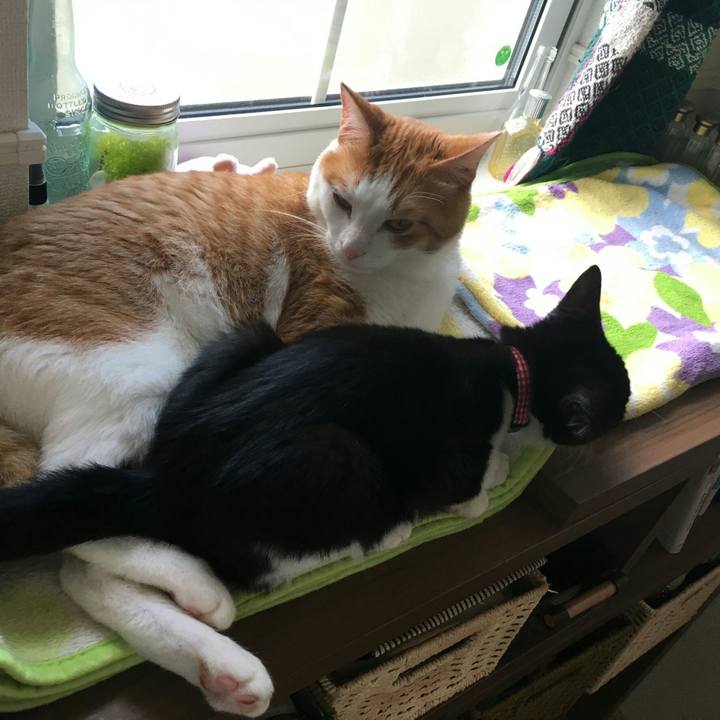 Cf1a6ad6 c597 44aa bb4e e11de2d6be40