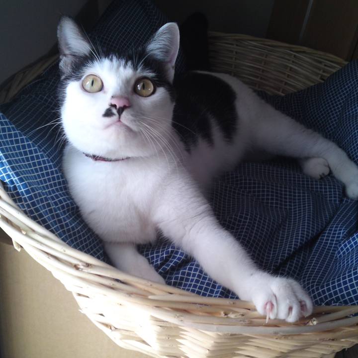 Cf1a6d78 0756 457a 935b 0ea4f6614769