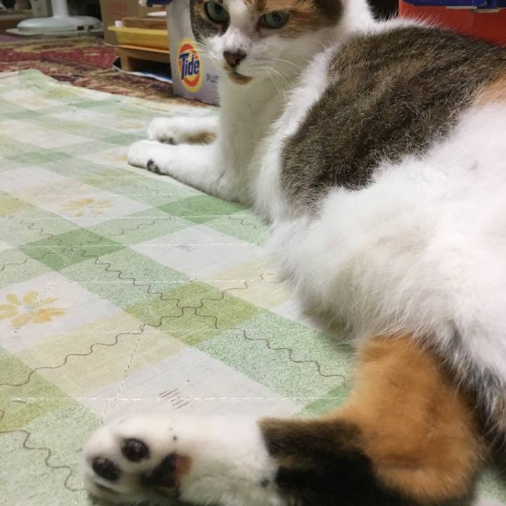 Cf1ab2b4 da25 4e28 8ea3 b0e99b0adcef