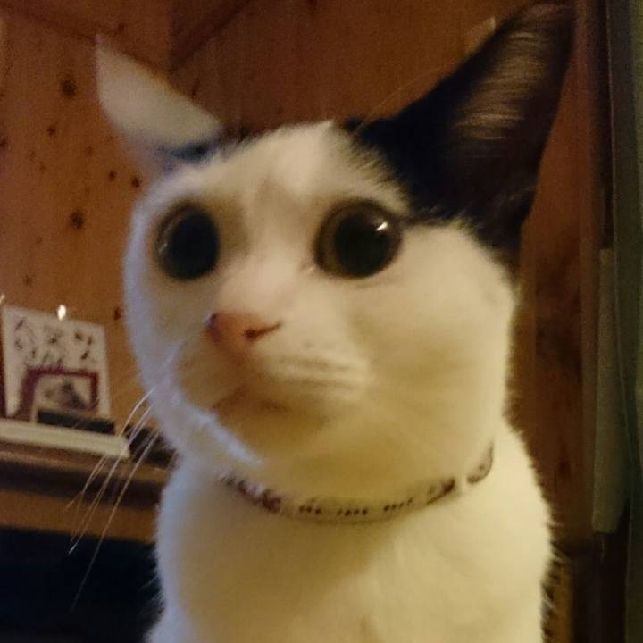 Cf1aef2d 10a1 4e07 bfa7 79432d0d8ccd