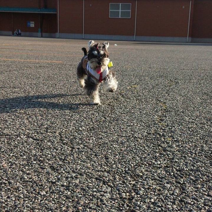 Cf1d4c4f 3734 4917 bc64 9dcfb7989290