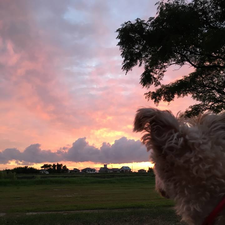 Cf1db113 f76a 4352 85ee 38c79e7a1a4c