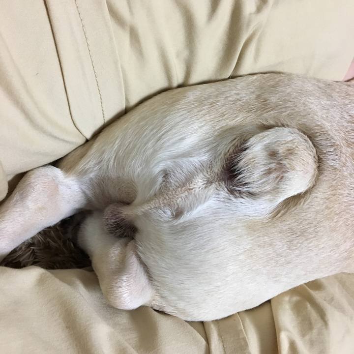 Cf1f46d9 7fcf 42ea b452 6213b02a5665