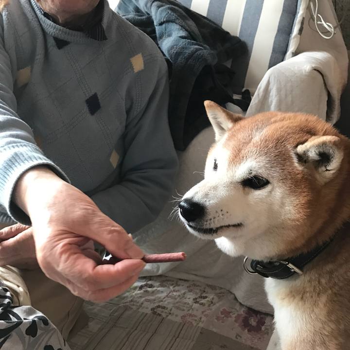 Cf2057a8 e07d 4a1c ba75 d26a93414867