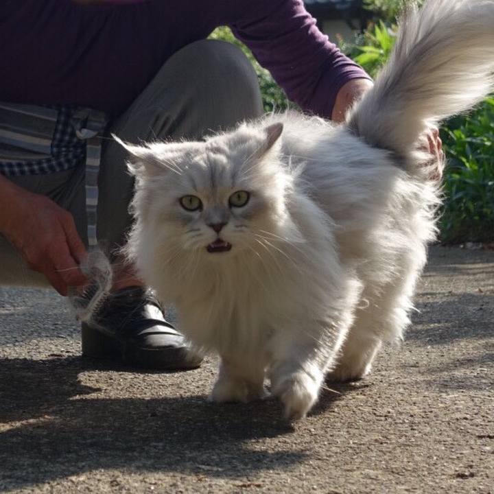 Cf206cba 47d5 44e5 84af a9b4d6e37ce0