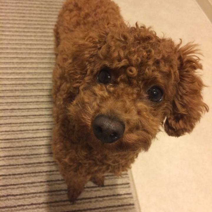 Cf20d0f4 80b5 42ea ad67 3237b048935c