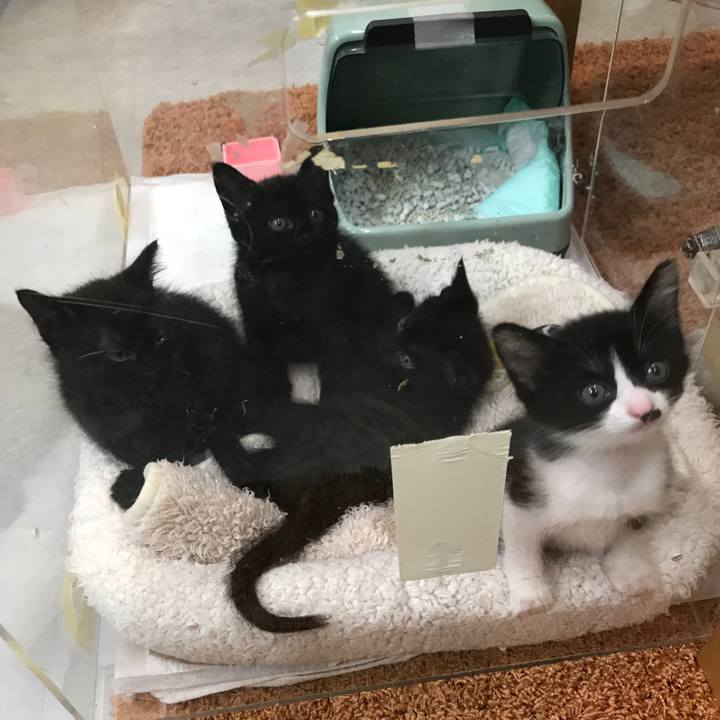 Cf2168c9 079c 4e29 a92d 52e7bb20dfd9