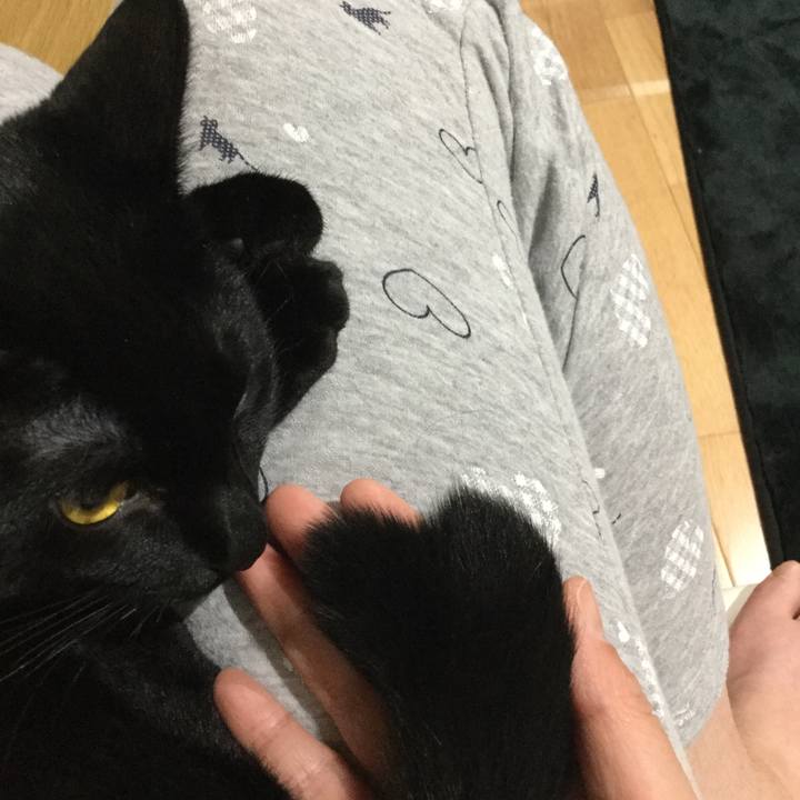 Cf21df60 5826 4d75 90b8 f6e4dd7e8403