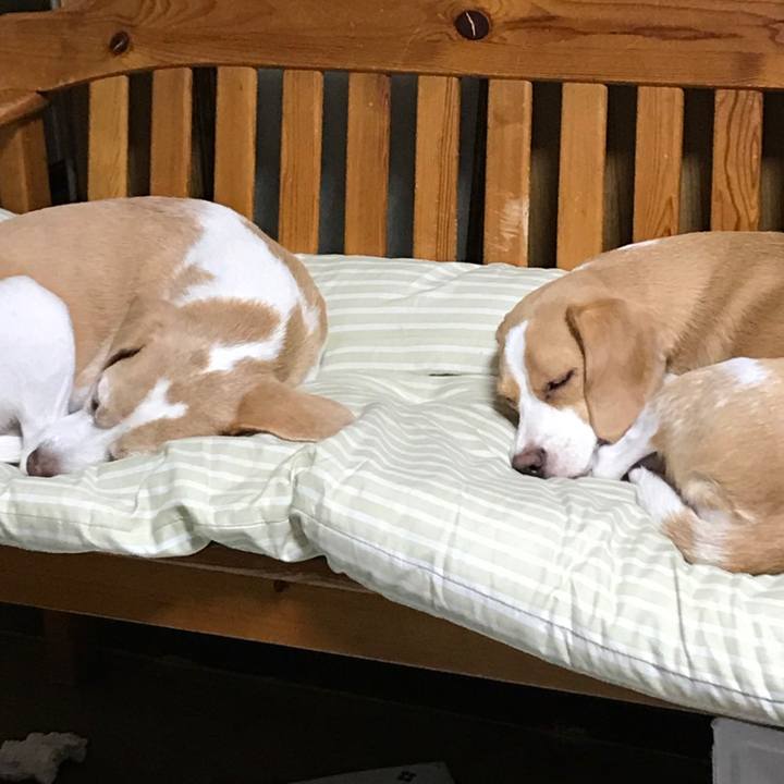 Cf21f0dd 21db 4999 8168 70f409c21a2c