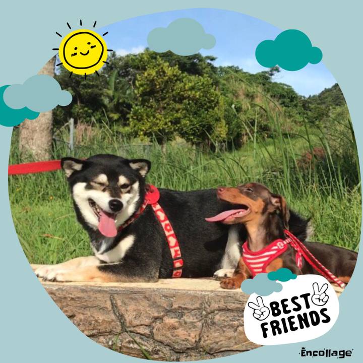 Cf21f62f 86bc 49a1 9fe9 0524e79c9389