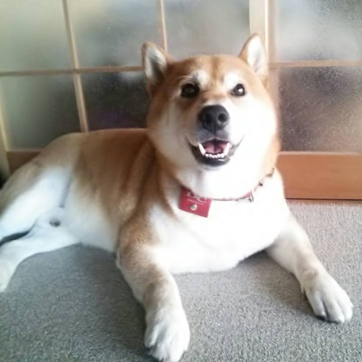 Cf220577 36cd 4f77 88dd 9262f8a9d36b