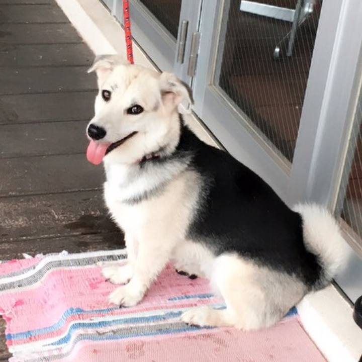 Cf22a8d7 b034 47b8 98ea 6491698f93e5