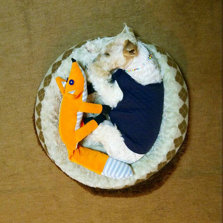 Cf232f3f 07db 4f75 a77b 3916af89fcf9