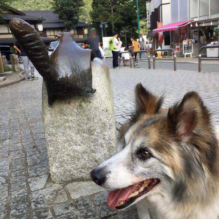 Cf23440d 0ea2 42de 9b7e 92559625fcef