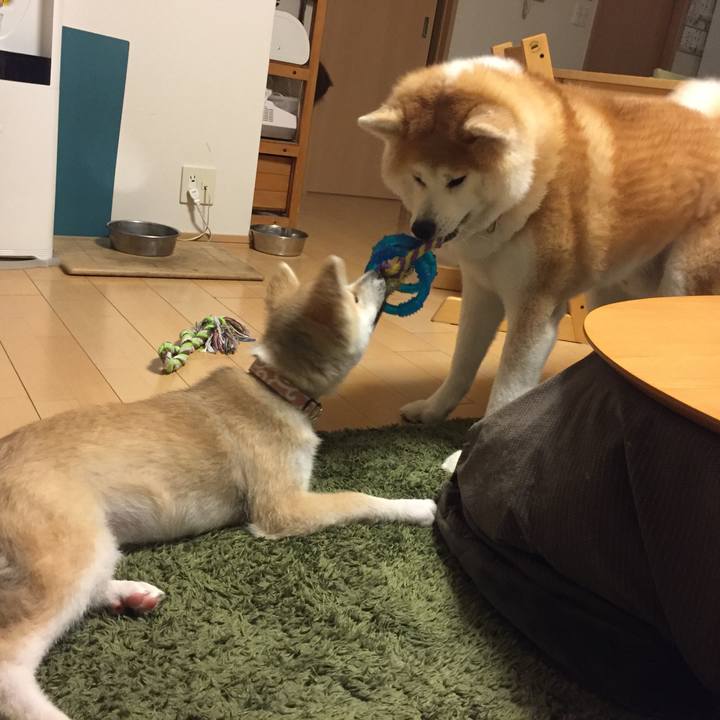 Cf23540c 7fba 49bf ace9 a82434aba8c5