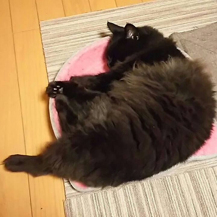 Cf238f49 53b8 4f0c 8f65 8aedefabfe68