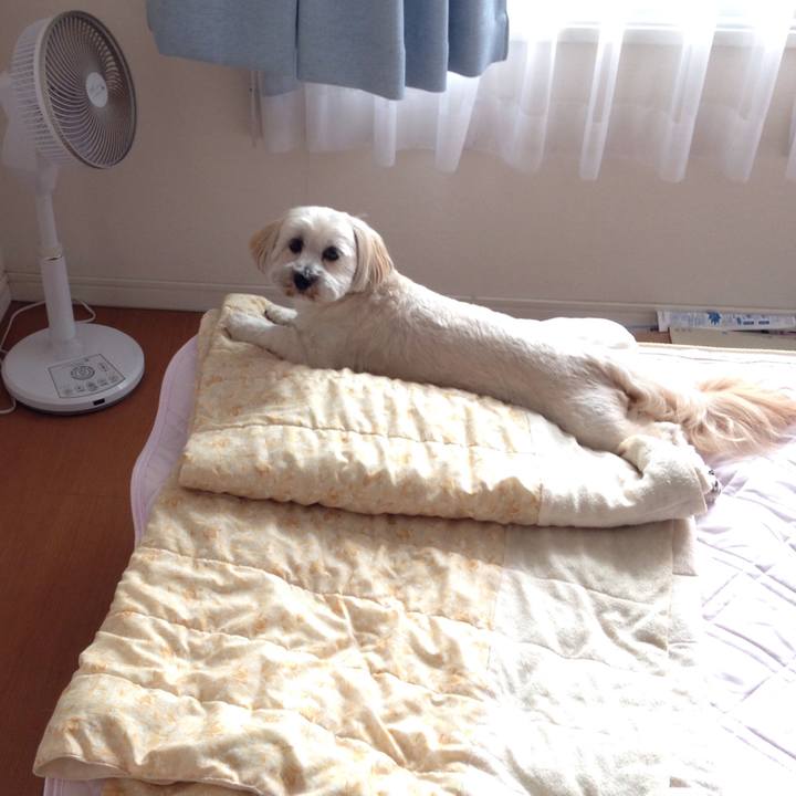 Cf2513d8 8745 476e a9d3 29f406473bd9