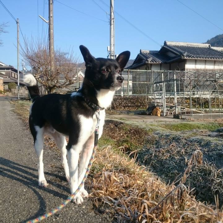 Cf252c2c 6fae 4a4b ac36 34571cf2d173