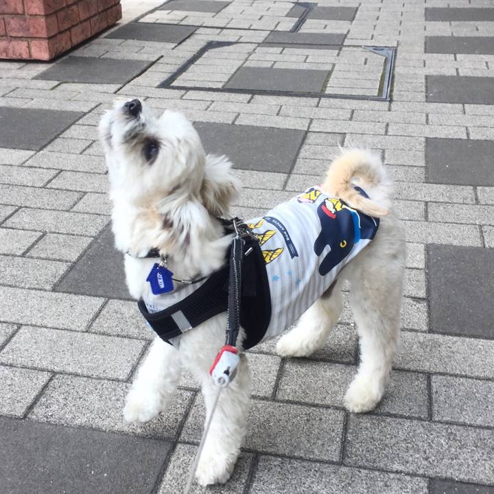 Cf262024 f463 4305 bd2a bd629f6b755c