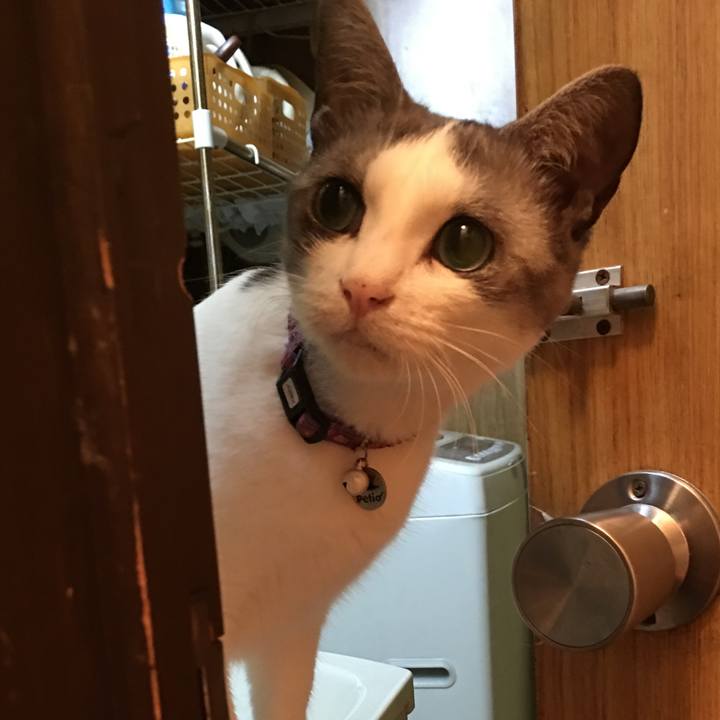 Cf269b45 d7e4 41f7 b7a4 2da17f529df6