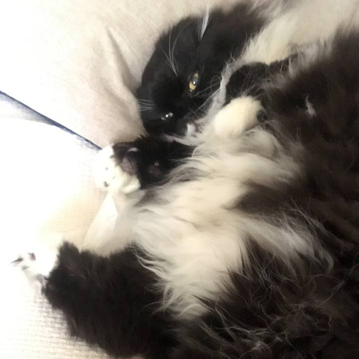 Cf2725dd 5b3f 4fc3 94a6 f2d28b5bd64e