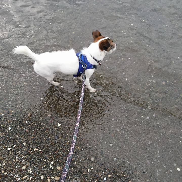 Cf272d0b 2d29 4def b90b 4c999aa79f6f